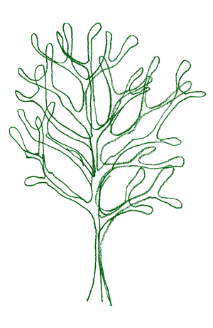 arbre 4
